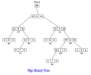 Binary Tree क्या हैं?