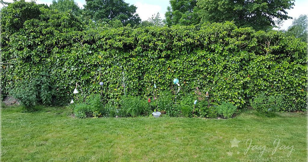 Sternensinn Garten Und Mehr Staudenbeet Erweiterung I