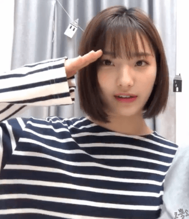 경례 장인 아이돌