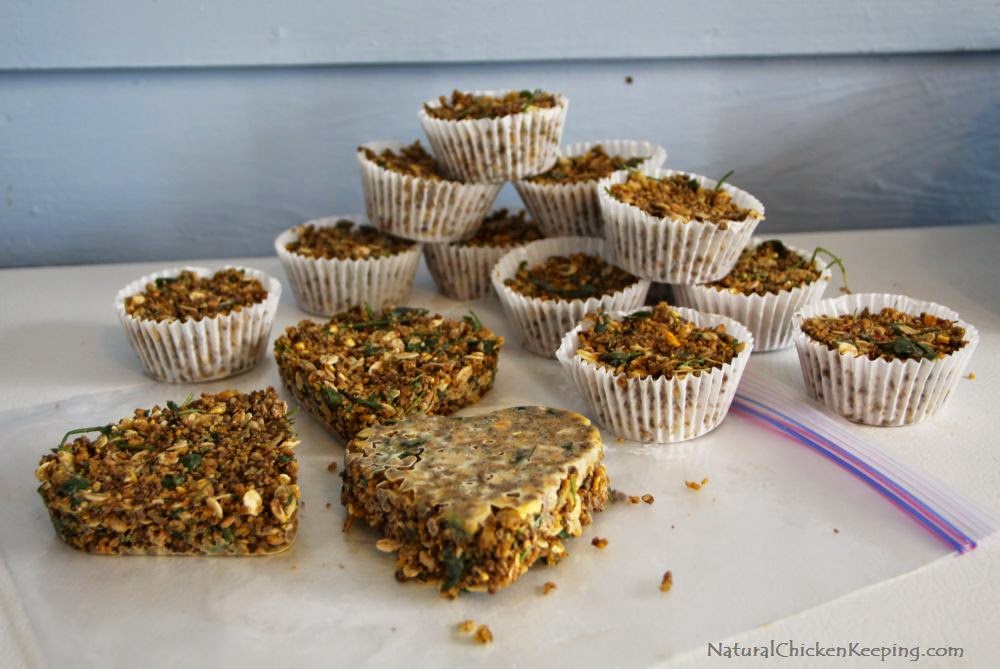 http://naturalchickenkeeping.blogspot.com/2013/10/diy-healthy-suet-cakes-for-your.html