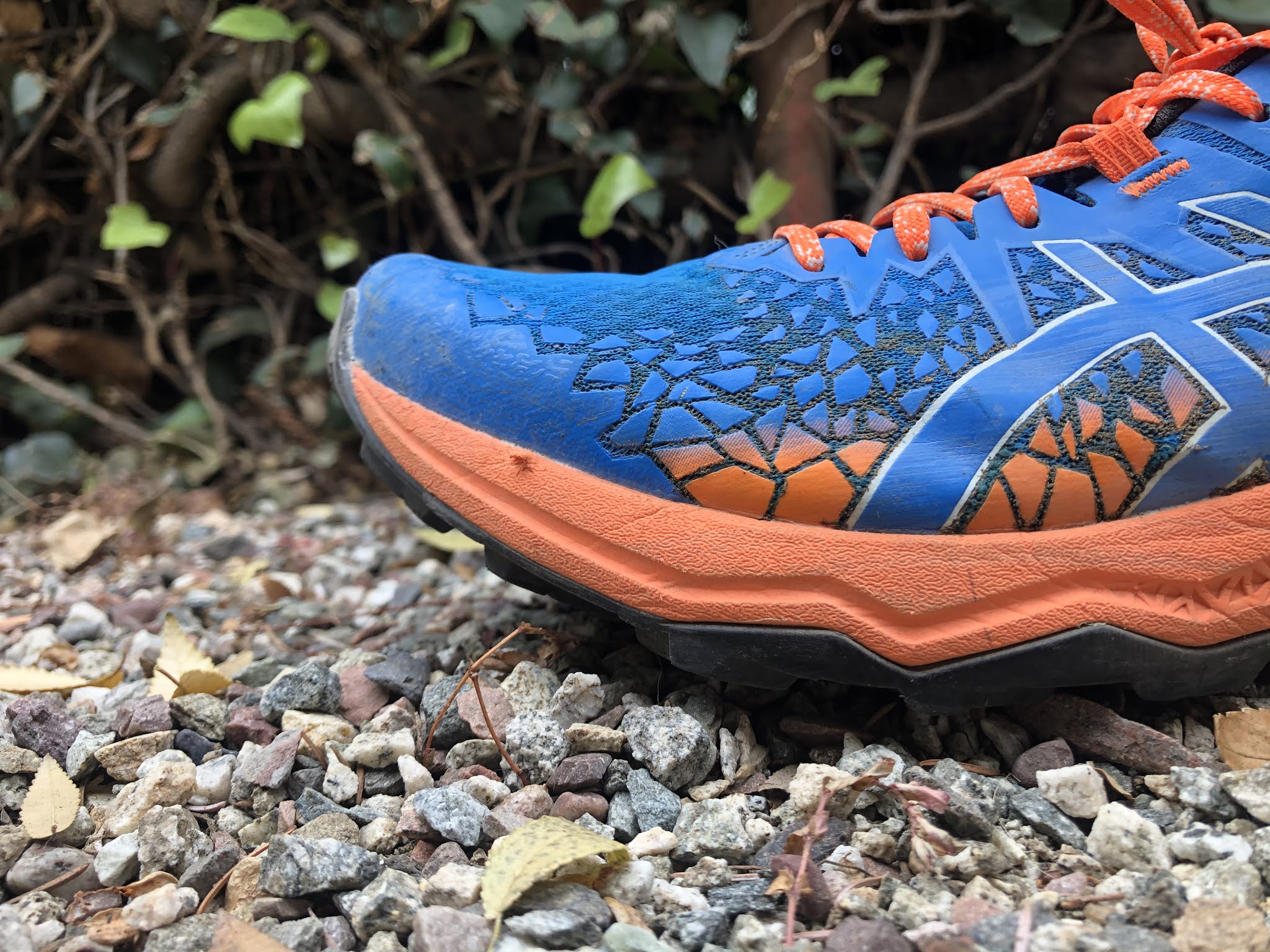 fujitrabuco lyte review