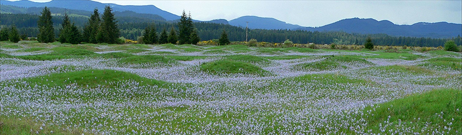 تلال ميما الغامضة..كيف تكونت؟