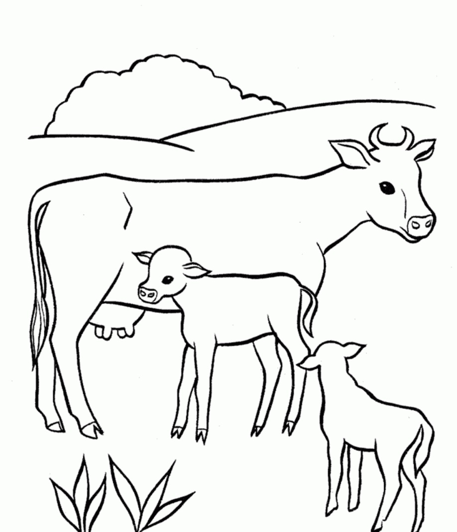 Free Animal Cow Coloring Pages For Kids