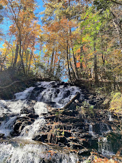 Using Georgia Native Plants: Vogel State Park A Place for Fall Color Using Georgia Native Plants: Vogel State Park A Place for Fall Color