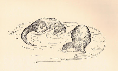 Bee and Jims the tame short-clawed Asian otters by Sophie Neville