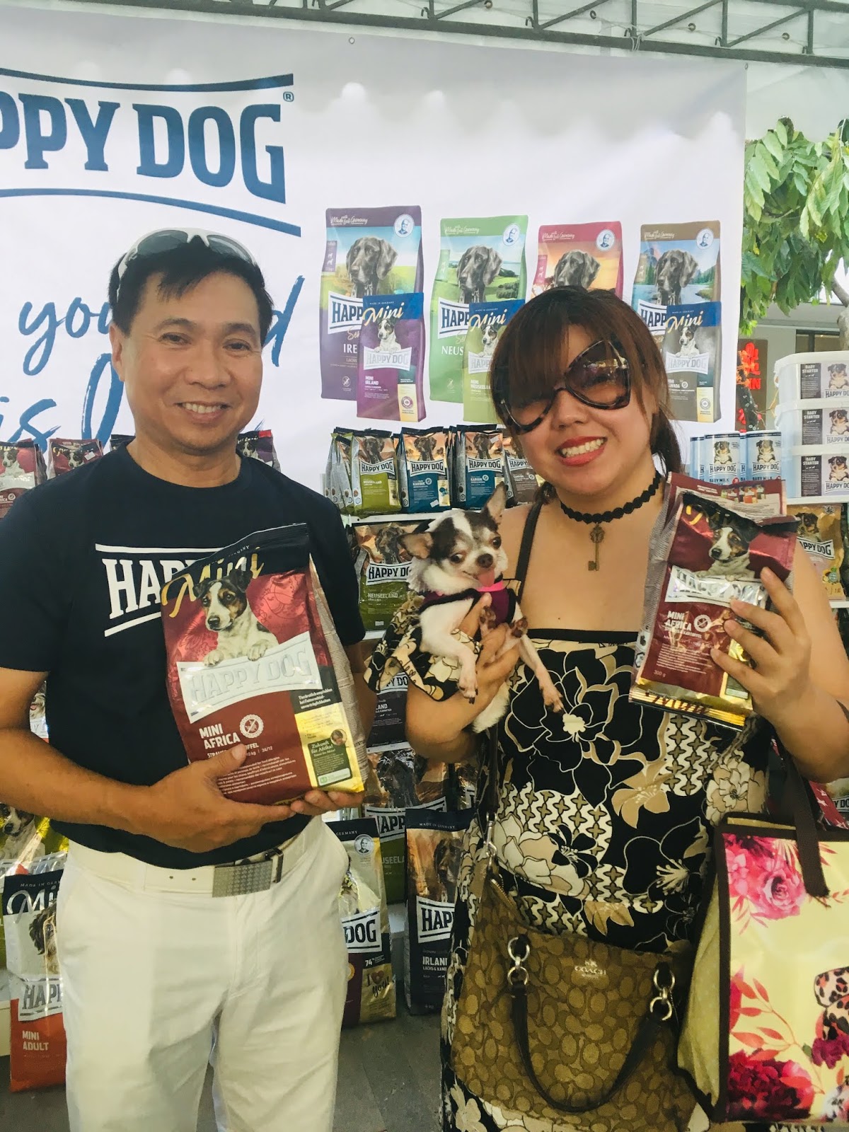 mini africa happy dog