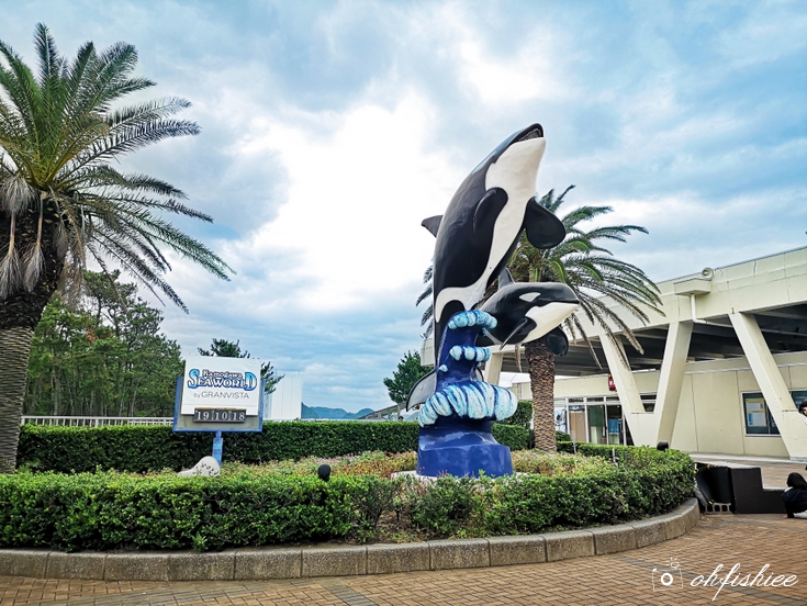 oh{FISH}iee [TRAVEL] 10 Reasons to Visit Kamogawa Sea World, Chiba