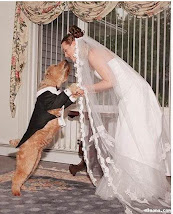 امرأة أمريكية تتزوج من كلب!