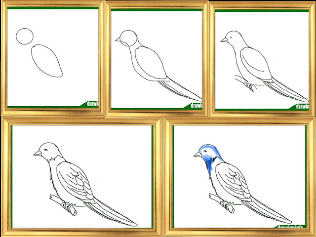 bird-drawing-easy bird-drawing-easy