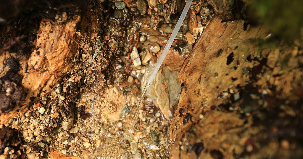 [揪人] 5/21 老洛韶駐在所、椎巴宇山、袋角山