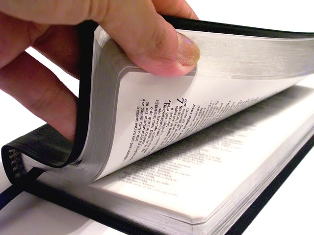 Pin de Temas da Bíblia em Curiosidades  Ensinamentos bíblicos, Fatos  bíblicos, Leituras bíblicas