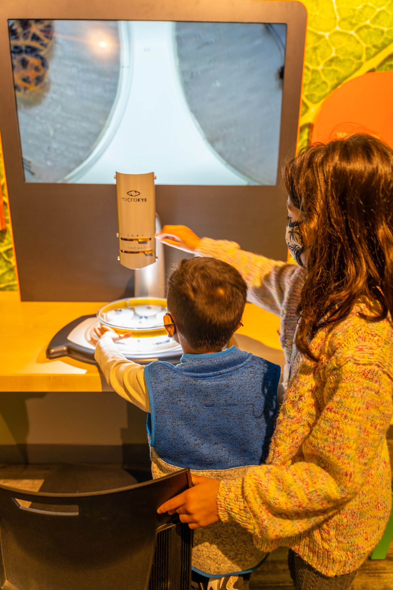 Introducing the allnew SMUD Museum of Science and Curiosity