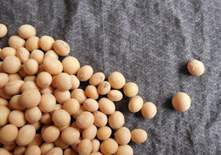 Soya food to lower cholesterol