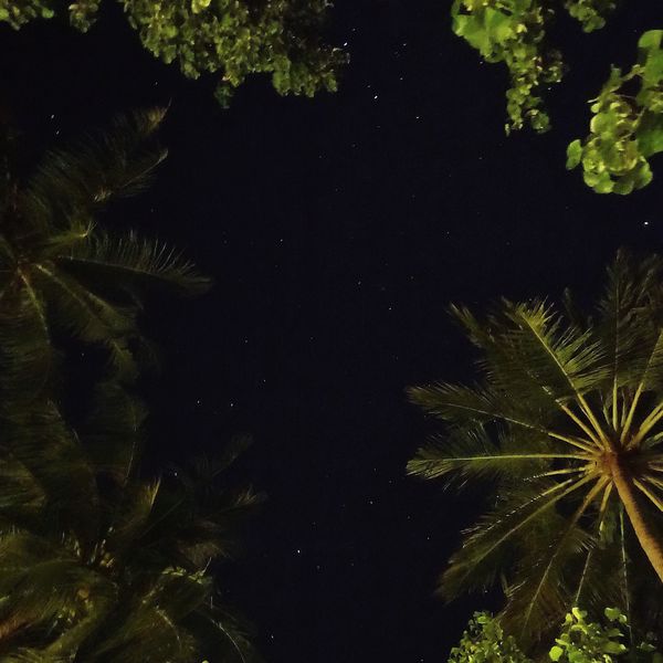 24hours – Moonlight – Single