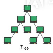 tree-topology-image-wizstudy.blogspot.com