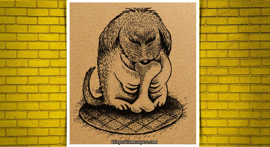 Test: ¿Puedes ver al animal en la imagen?