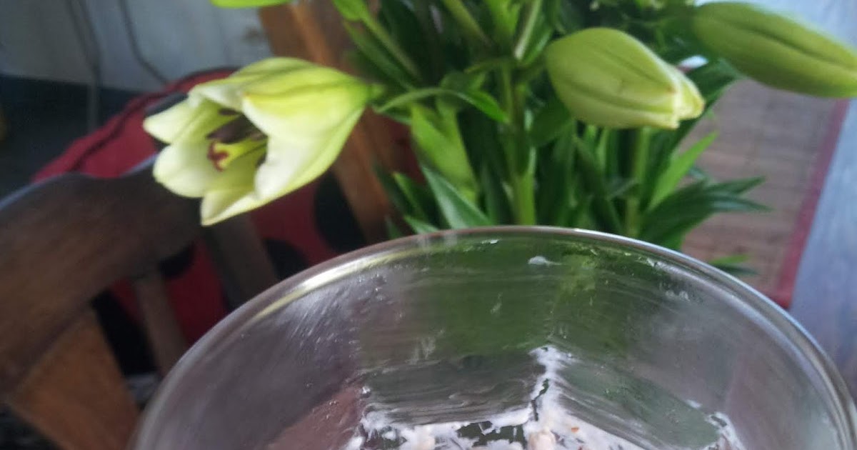 Pudding z siemienia lnianego