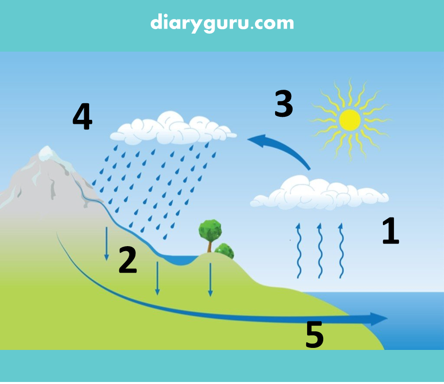 Contoh Soal C1 Sampai C6 Untuk Sd - Contoh Soal C1 Sampai C6 Pelajaran