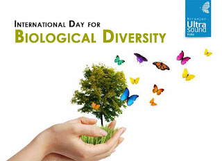 International Day for Biological Diversity HD Pictures, Wallpapers