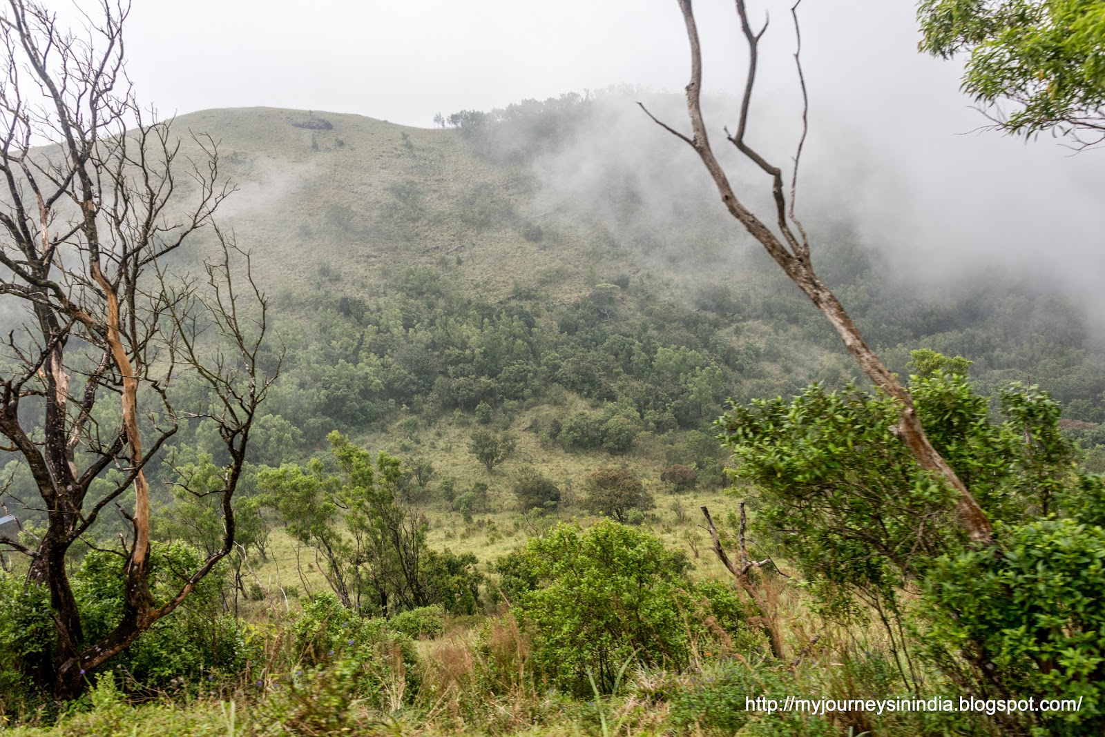 Ponmudi Hill station