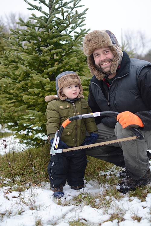 Getting a Christmas Tree, Tree hunt | My Darling Days Getting a Christmas Tree, Tree hunt | My Darling Days