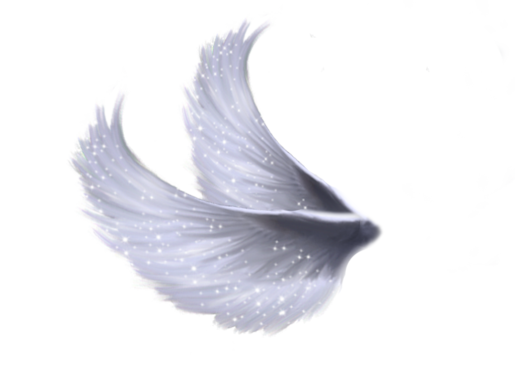 wings_png_5.png