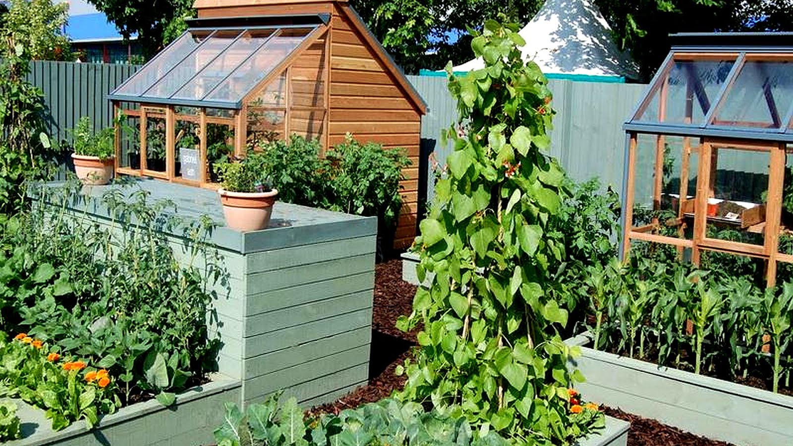 How To Set Up Vegetable Garden Vege Choices