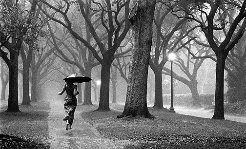 Lonely Walk In The Rain I'm So Lonely - 504x306 - jpeg Women Walking In The Rain