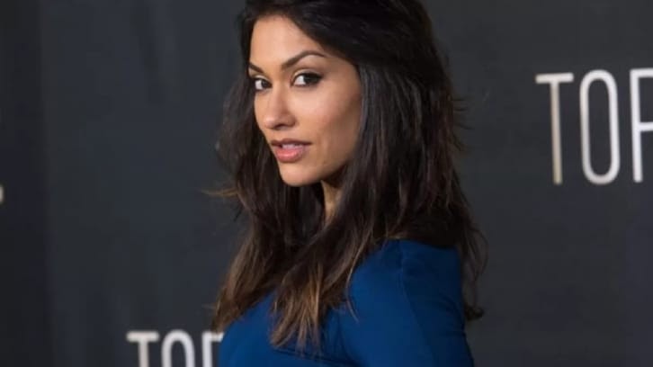 Big Sky - Season 2 - Janina Gavankar Joins ABC Drama