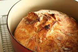 No-Knead Bread click for recipe