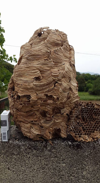 %25CE%25BA%25CE%25BF98 | Lamianow.gr