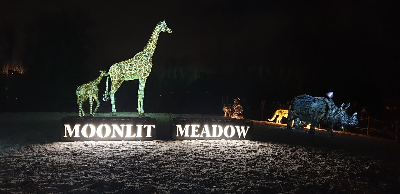 Playdays and Runways Christmas 2018 The Lanterns at Chester Zoo