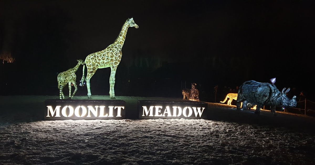 Playdays and Runways Christmas 2018 The Lanterns at Chester Zoo
