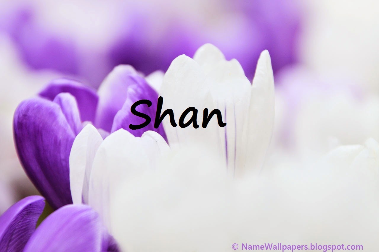 Shan Name Wallpaper Shan Name Wallpaper Urdu Name Meaning Name Images shan-name-wallpaper-shan-name-wallpaper-urdu-name-meaning-name-images