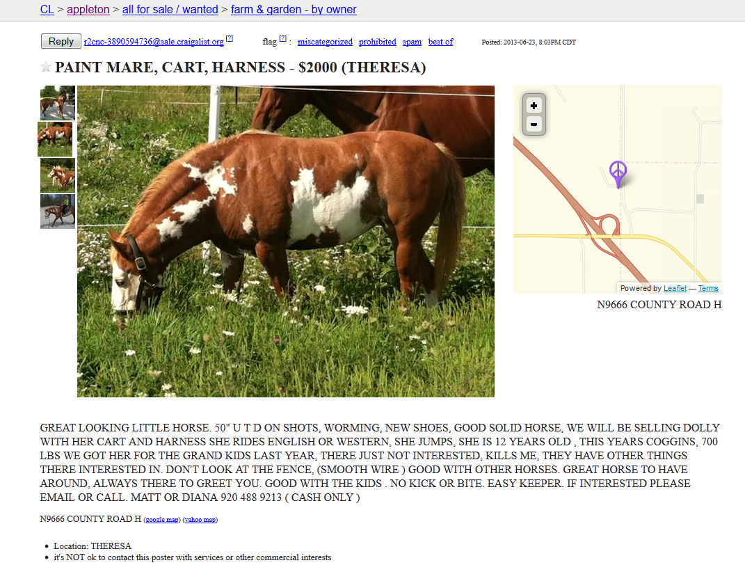 North Horse Craigslist Day