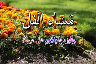 مساء الفل, مساء الخير, صور, بوستات, مكتوب عليها