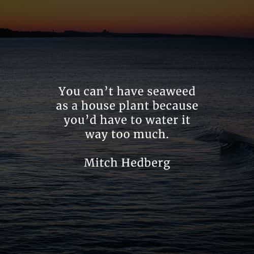 Famous quotes and sayings by Mitch Hedberg Famous quotes and sayings by Mitch Hedberg