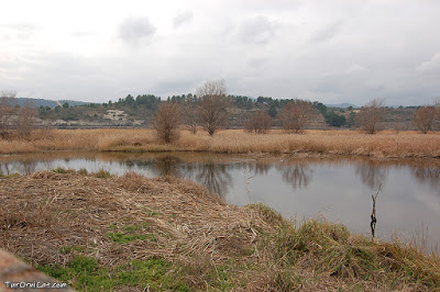 Vista de la Llacuna