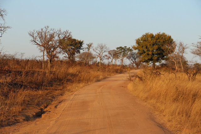 VIAGEM DE OVERLAND - Parte 5 - De Joanesburgo ao Parque Nacional de Kruger