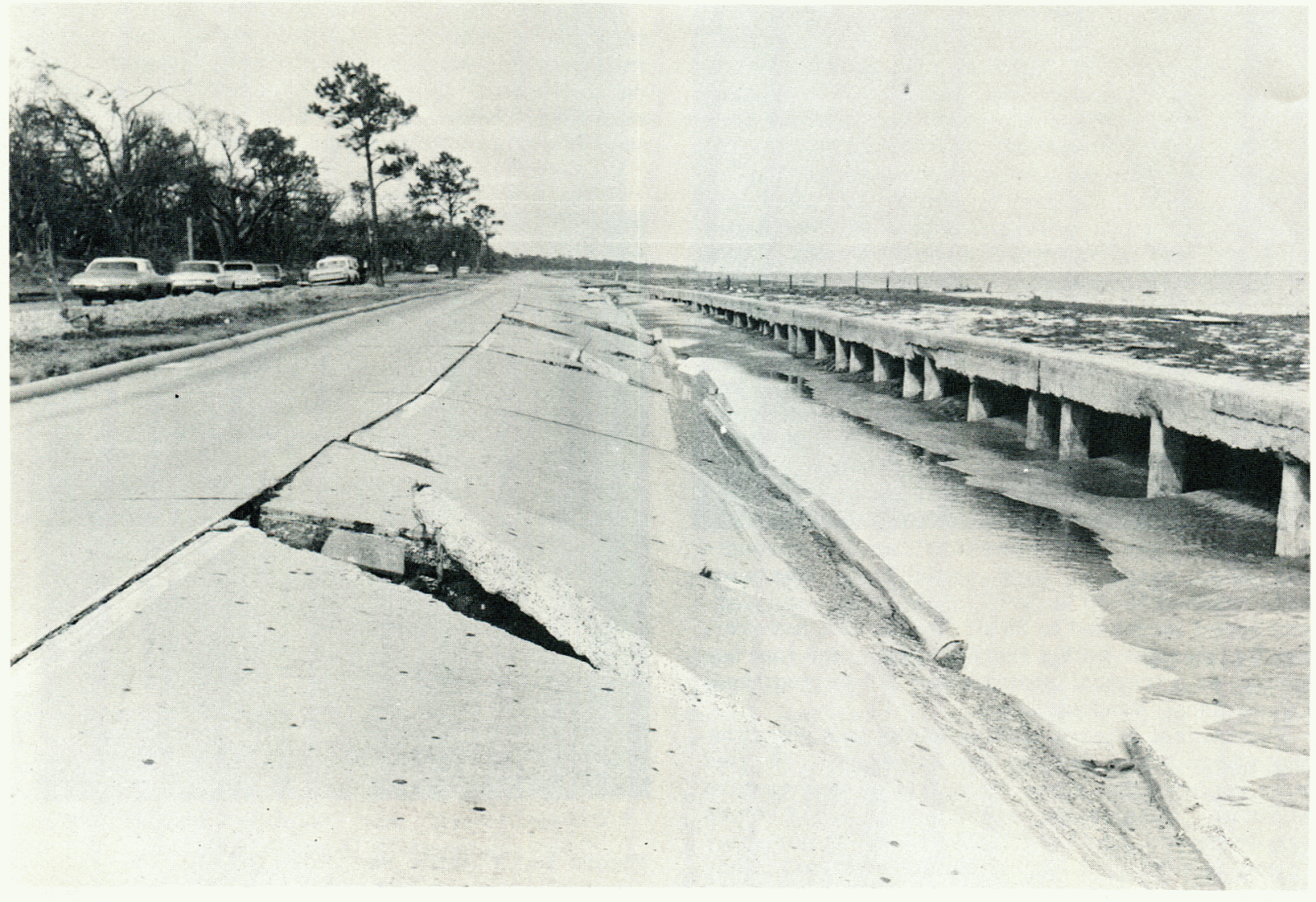 The Robert Muir Family: Hurricane Camille