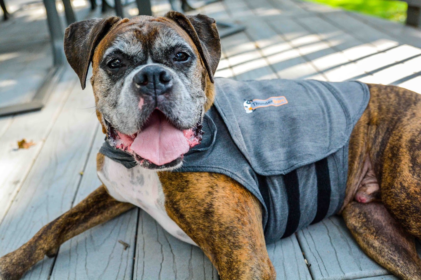 Theresa's Mixed Nuts ThunderWorks Offers the Gift of Relaxation