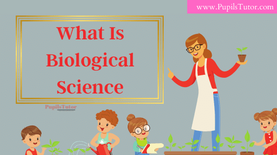 What Is Biology Science |Biological Sciences Meaning | What Is The Meaning Of Biological Sciences? - What Does Biological Sciences Mean ? / What Is Meant By Biological Science | What Is The Definition Of Biological Science | What Is The Meaning Of Biological Science, What Is Biology Simple Definition | Different Definitions Of Biological Science | Short, easy, Brief, Best Definition Of Biological Science - Definition Of Biological Science In Education