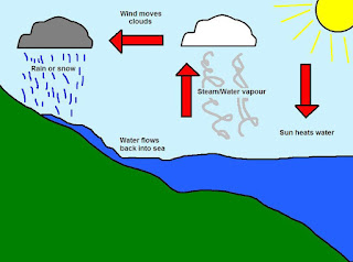 Hydrologic cycle