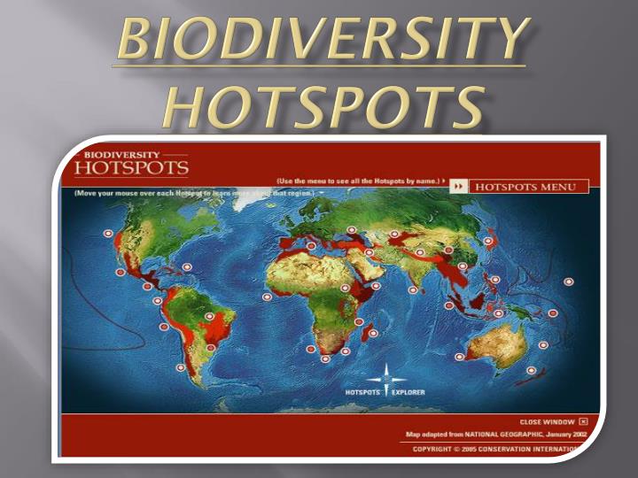 What Is Biodiversity Hotspot What Is Biodiversity Hotspot