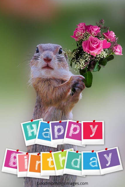 happy birthday beautiful happy birthday beautiful