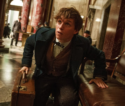Image of Eddie Redmayne in Fantastic Beasts and Where to Find Them