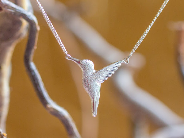 Giveaway: Jana Reinhardt Silver Hummingbird Necklace