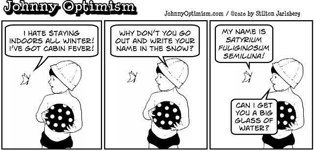 johnny optimism, medical, humor, sick, jokes, boy, wheelchair, doctors, hospital, stilton jarlsberg, butterfly, winter, cabin fever, snow, write your name in snow, latin