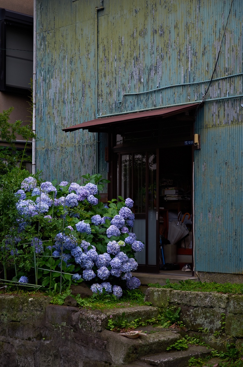 Shinjuku Mad - Rainy season 01