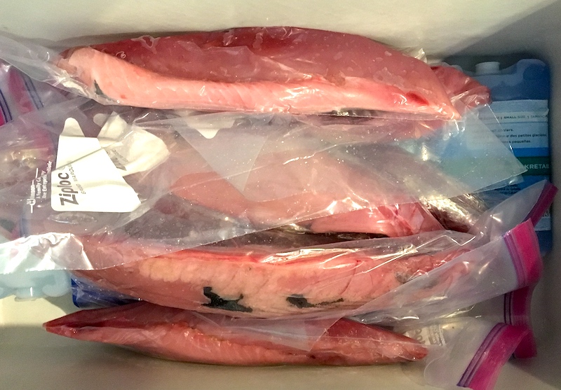 How To Freeze Fish In Ziplock 3 Easy Steps & Tips For Everyone
